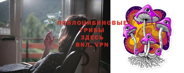 дурь Михайловка