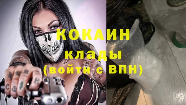 мяу мяу мука Михайлов
